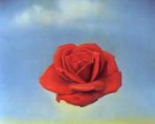 沉思的玫瑰 - 萨尔瓦多·达利